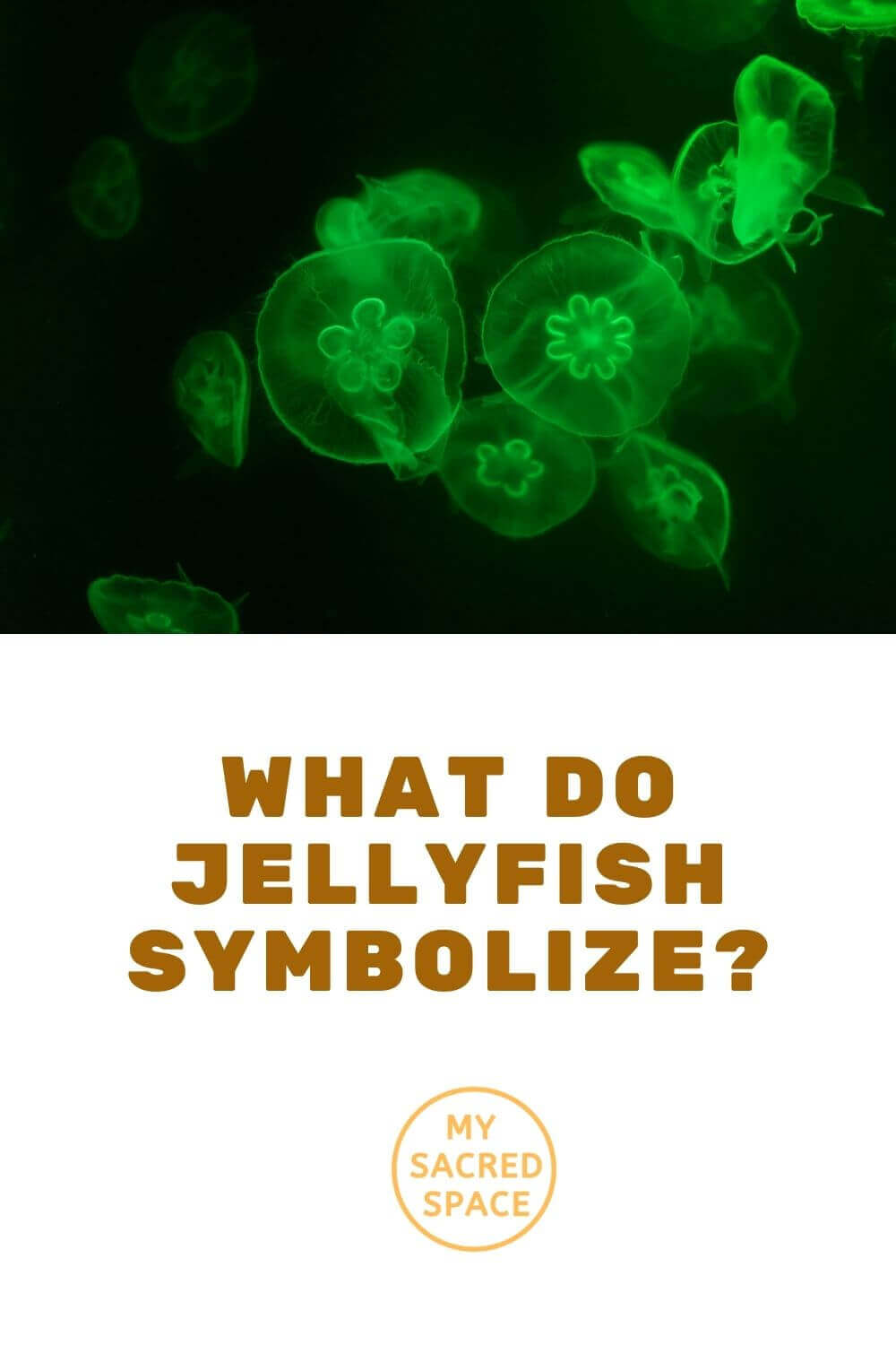 what-does-a-jellyfish-spirit-animal-mean-and-symbolize-my-sacred