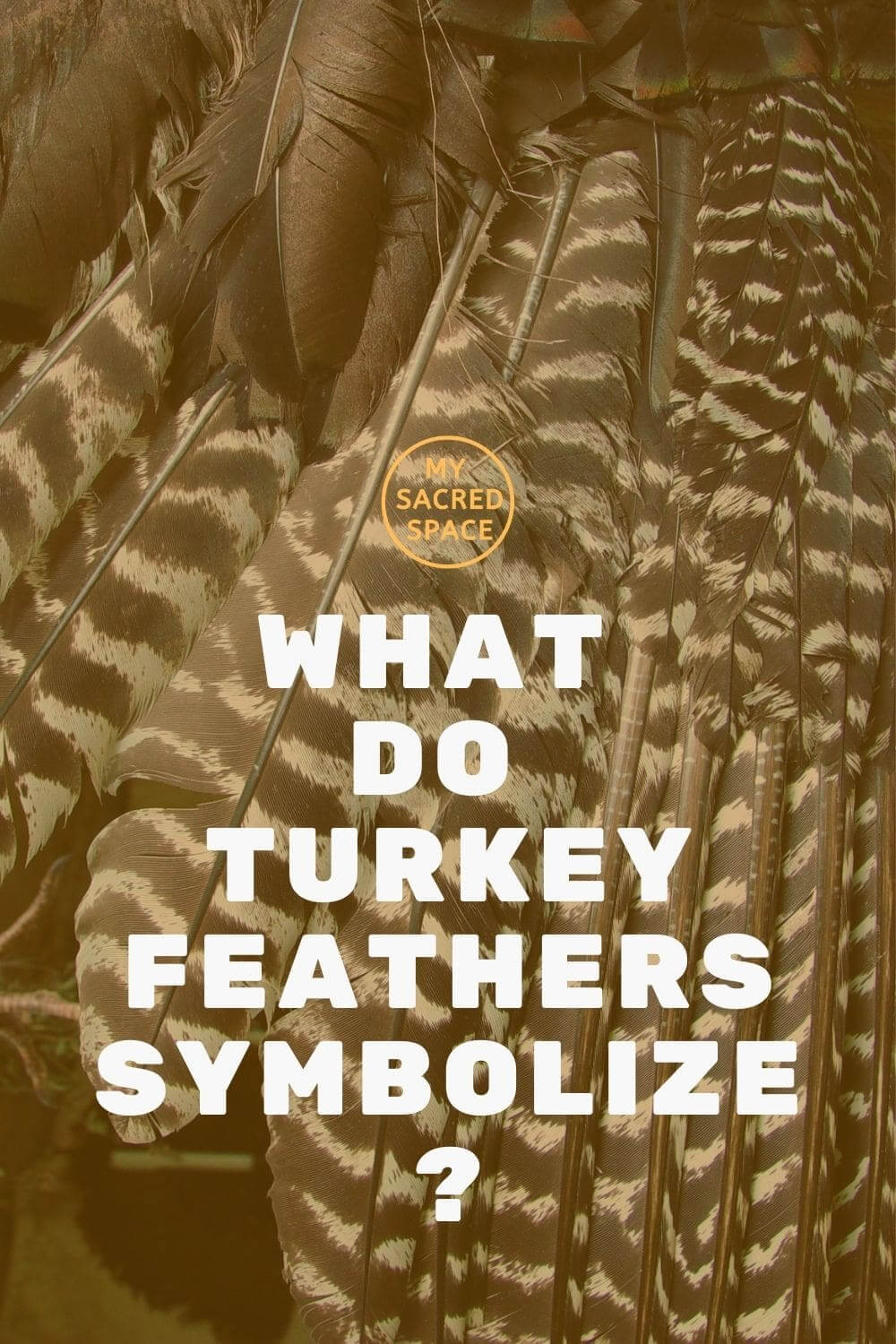 what-do-turkey-vultures-eat-turkey-buzzard-diet-birdfact