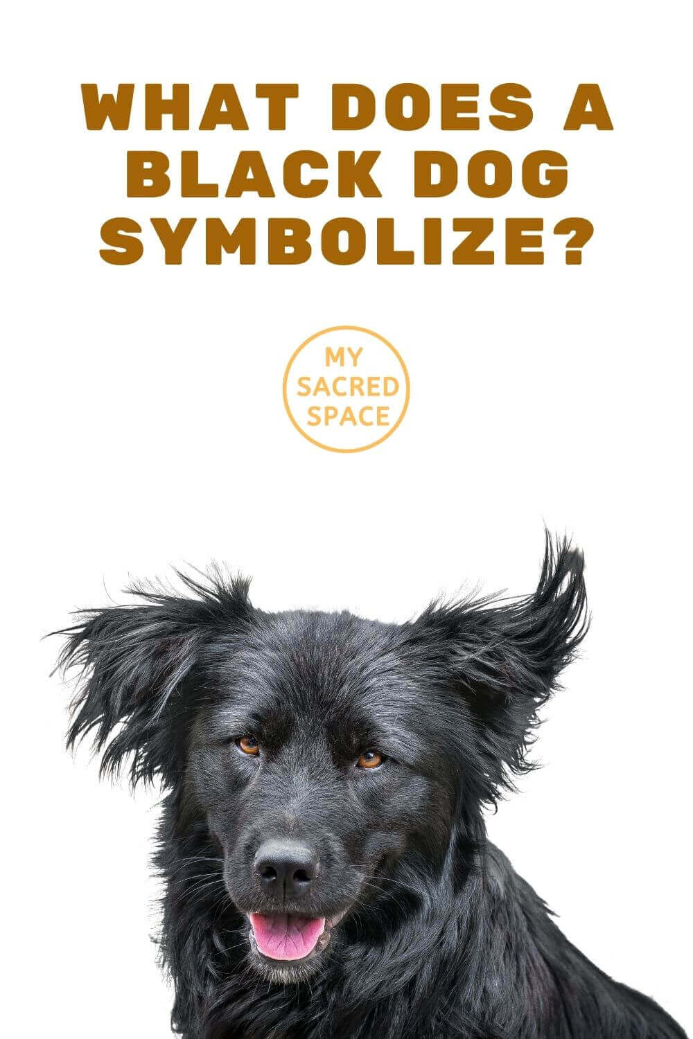 What Does a Dog Spirit Animal Mean and Symbolize? - My Sacred Space Design