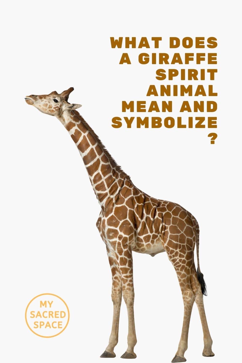 what does a giraffe spirit animal mean and symbolize
