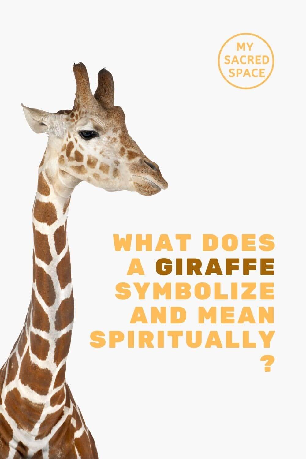 What Does a Giraffe Spirit Animal Mean and Symbolize? - My Sacred Space