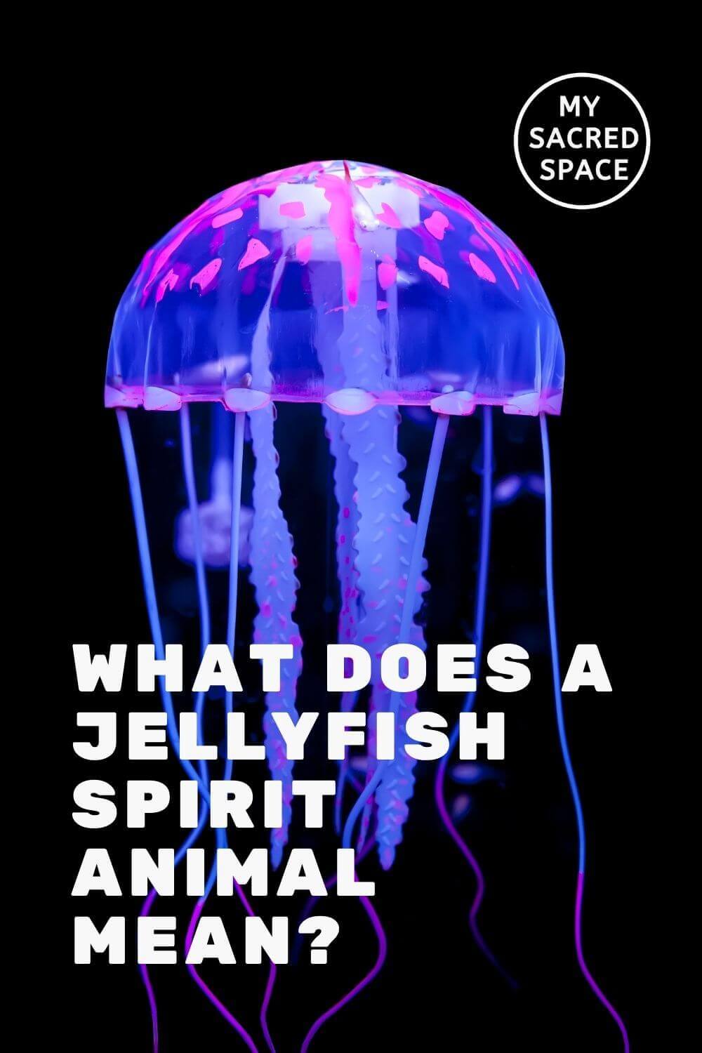 what-does-a-jellyfish-spirit-animal-mean-and-symbolize-my-sacred