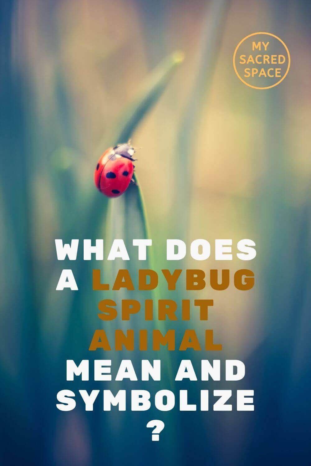 what does a ladybug spirit animal mean and symbolize