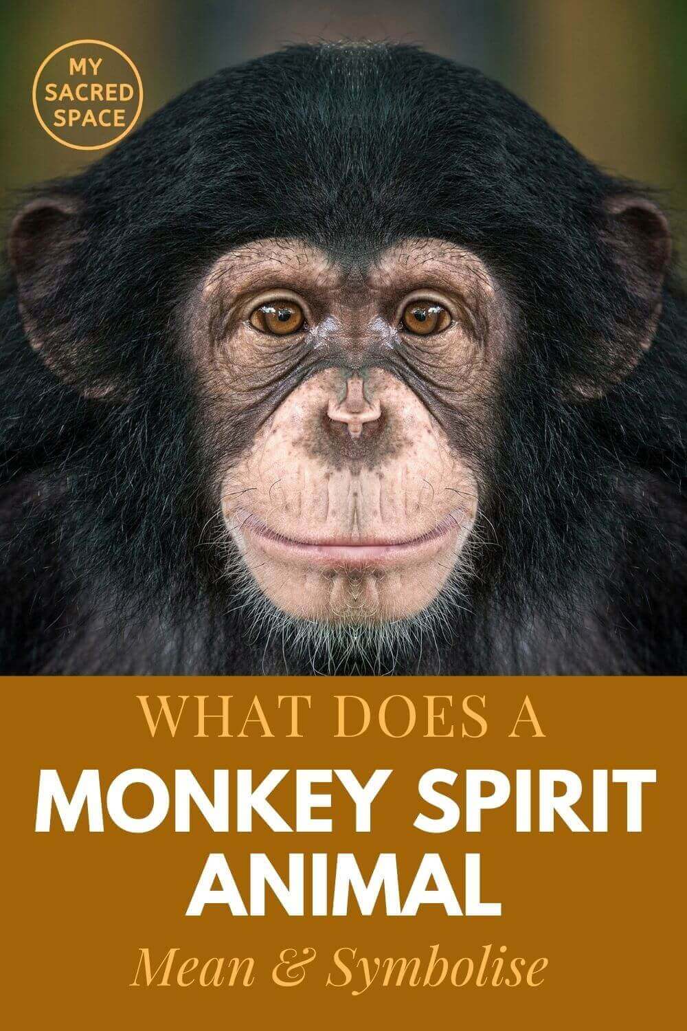 what does a monkey spirit animal mean and symbolise