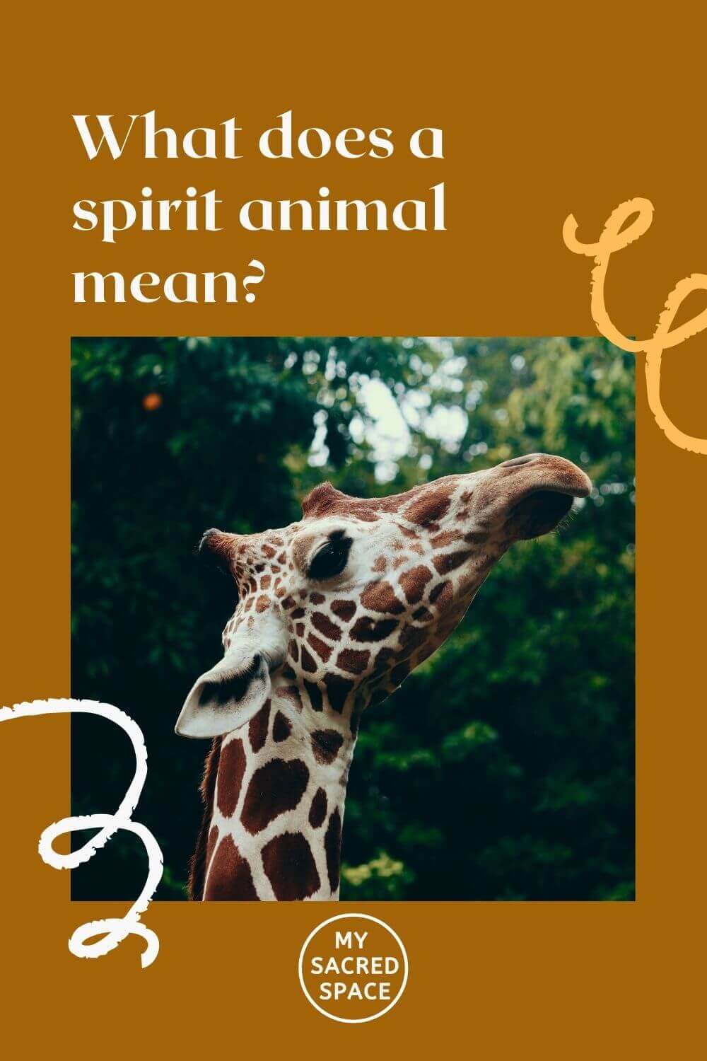 what-is-the-purpose-of-a-spirit-animal-my-sacred-space-design