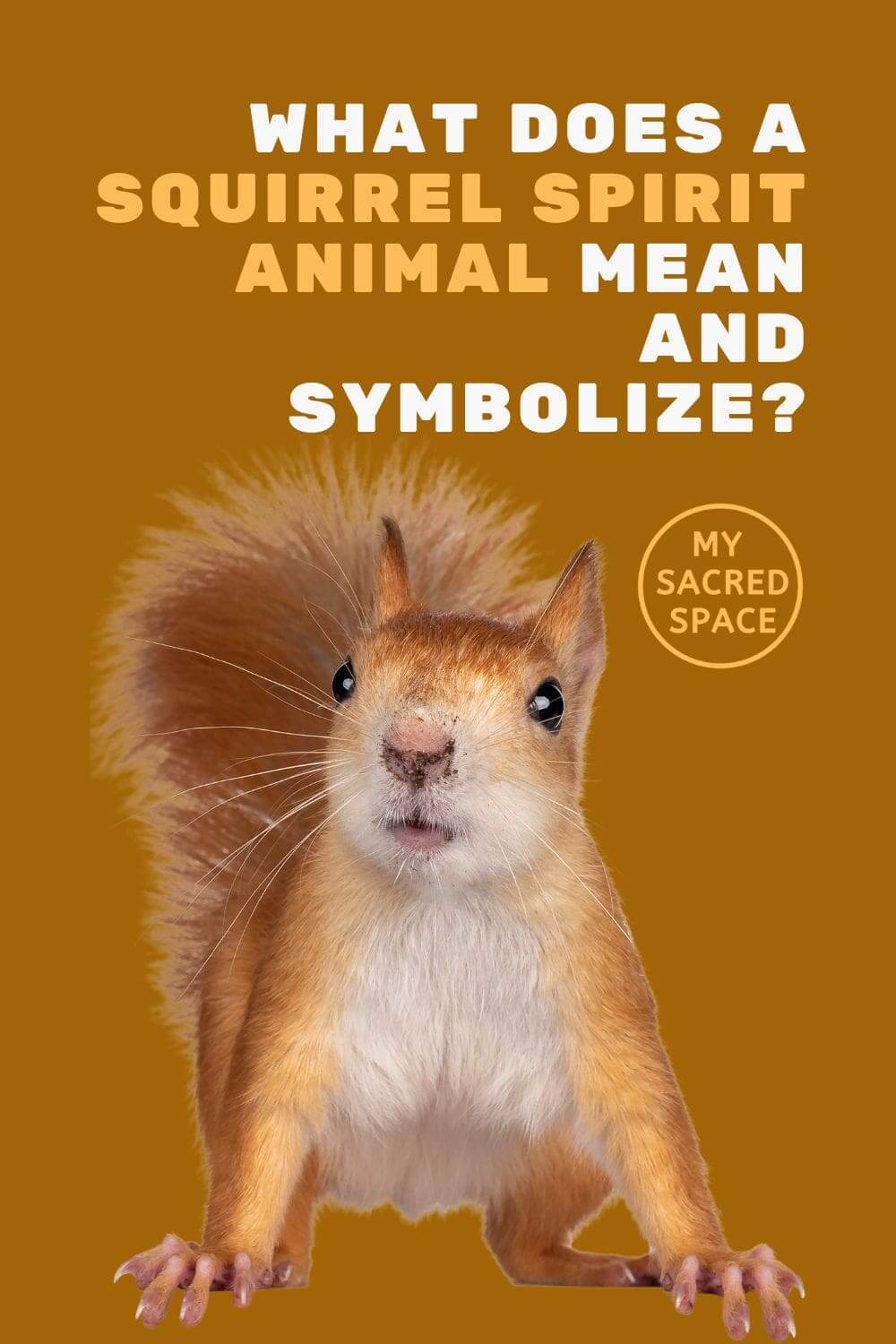 what does a squirrel spirit animal mean and symbolize