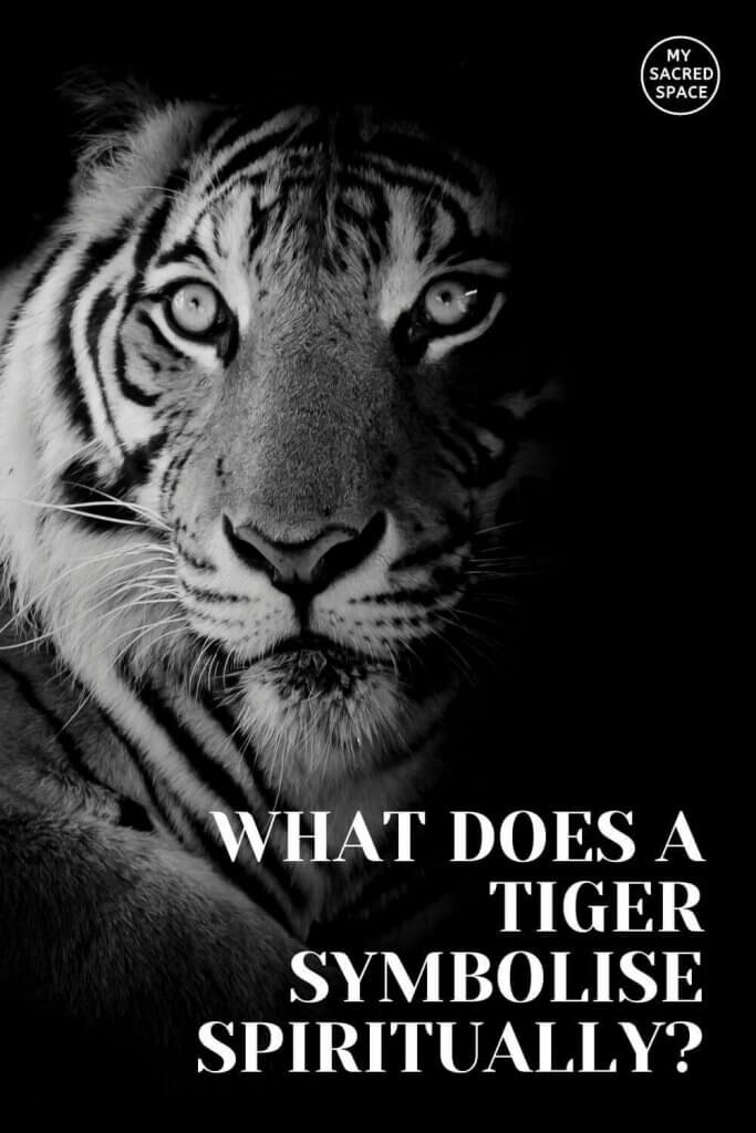 what does a tiger represent