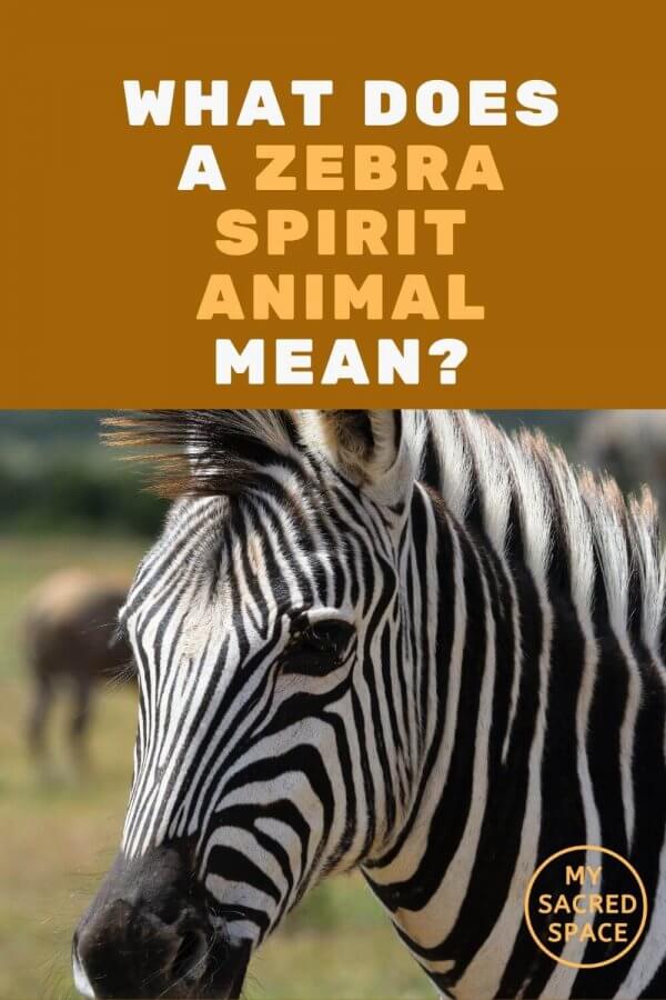 what-does-a-zebra-spirit-animal-mean-and-symbolize-my-sacred-space-design