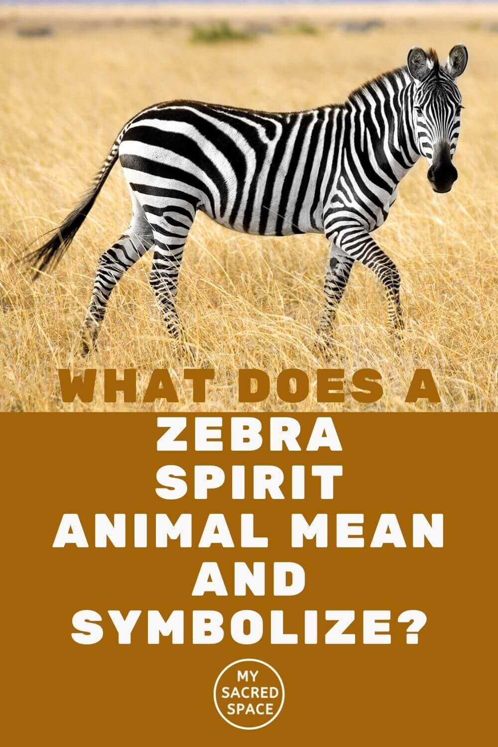 What Does A Zebra Spirit Animal Mean And Symbolize My Sacred Space Design