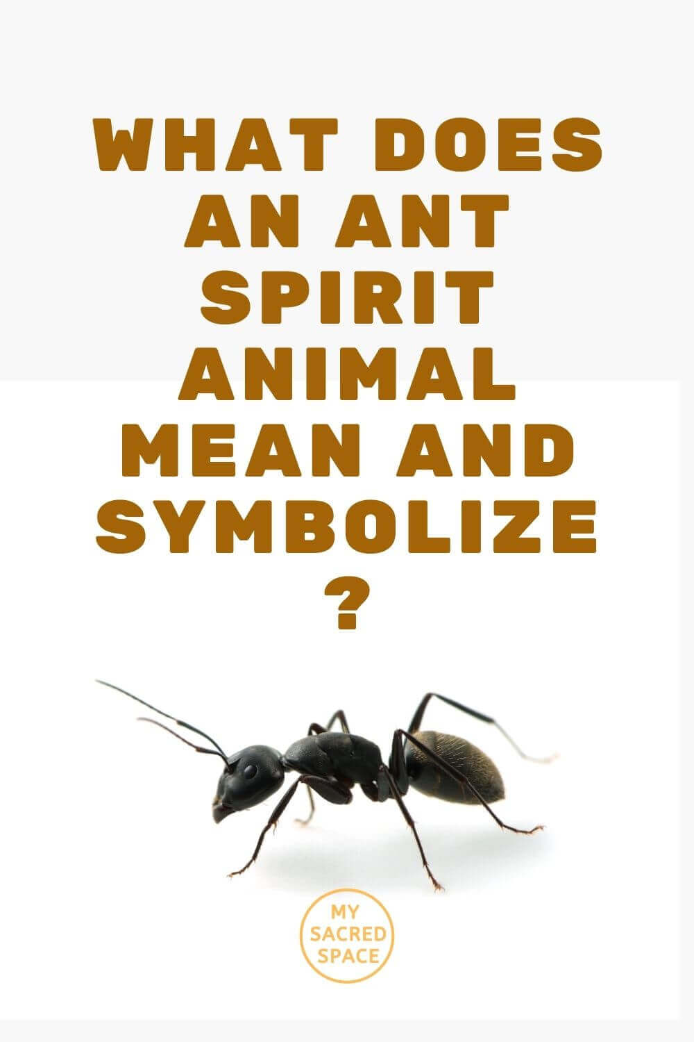 what does an ant spirit animal mean and symbolize
