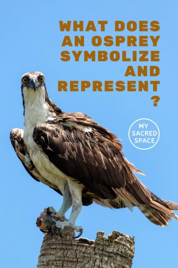 osprey symbolism meaning