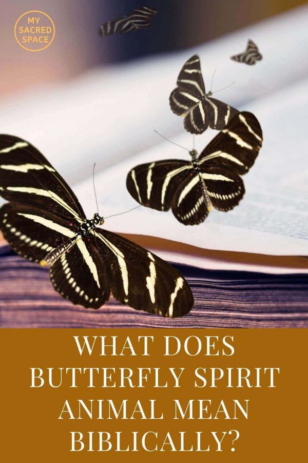 What Does A Butterfly Spirit Animal Mean And Symbolise?