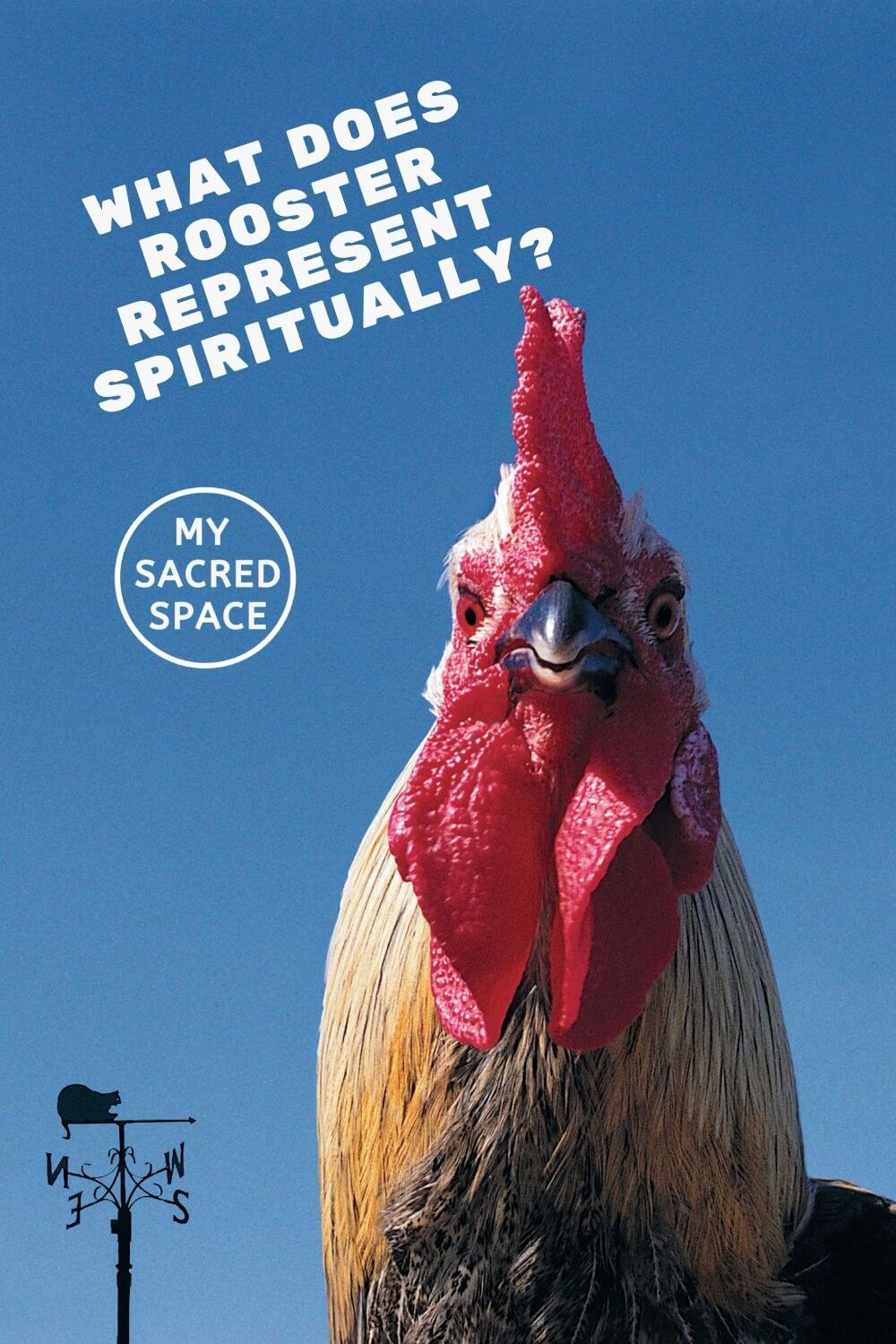 what-does-a-rooster-spirit-animal-mean-and-symbolize-my-sacred-space