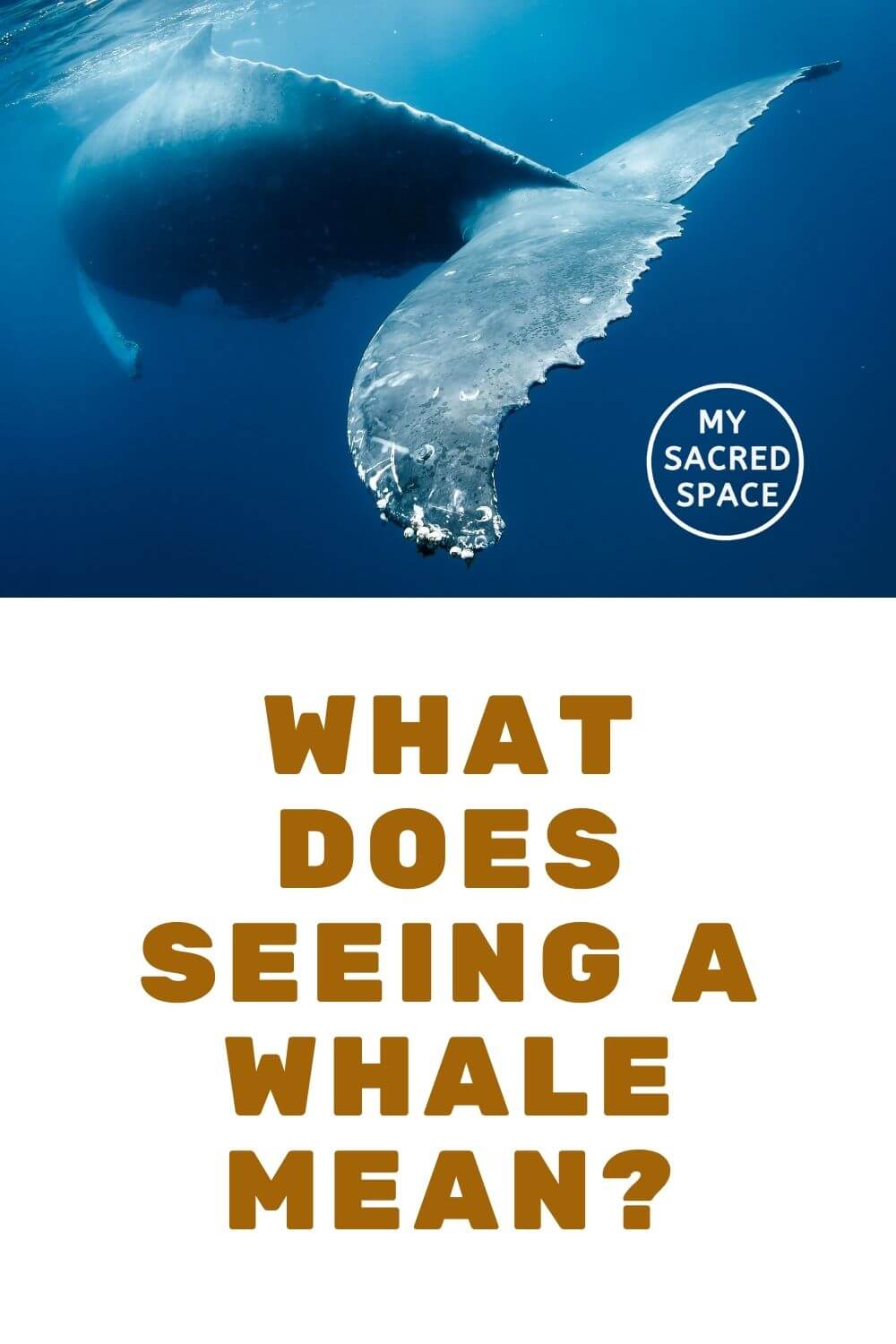 What Does A Whale Spirit Animal Mean And Symbolize? - My Sacred Space ...