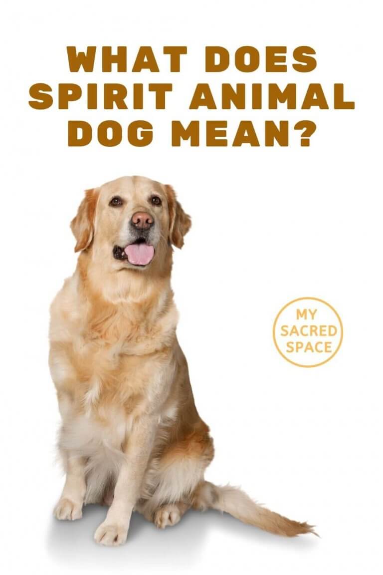 What Does a Dog Spirit Animal Mean and Symbolize? My Sacred Space Design