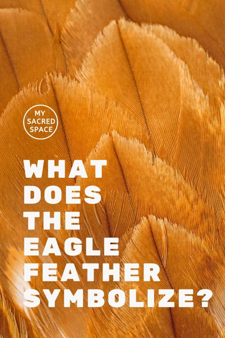 eagle-feather-meaning-symbolism-7-amazing-messages-joyce-elliott