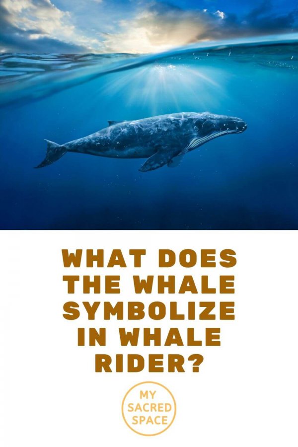 What Does a Whale Spirit Animal Mean and Symbolize? - My Sacred Space ...