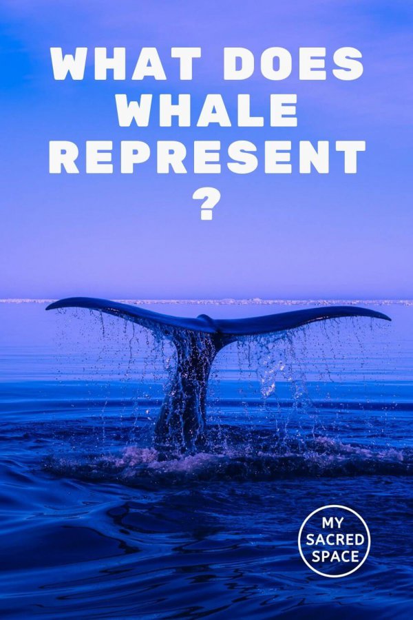 What Does A Whale Spirit Animal Mean And Symbolize? - My Sacred Space 