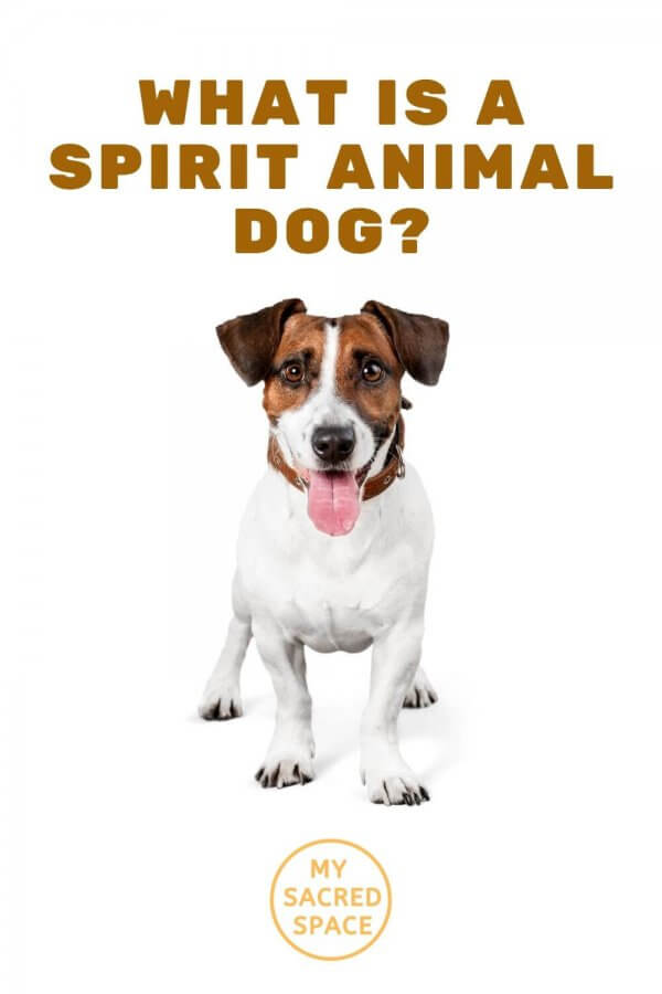 What Does a Dog Spirit Animal Mean and Symbolize? My Sacred Space Design