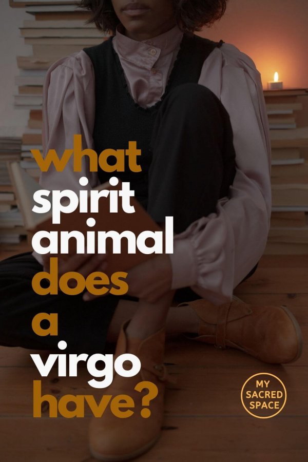 Spirit Animal Virgo What Is The Spirit Animal For Virgo My Sacred