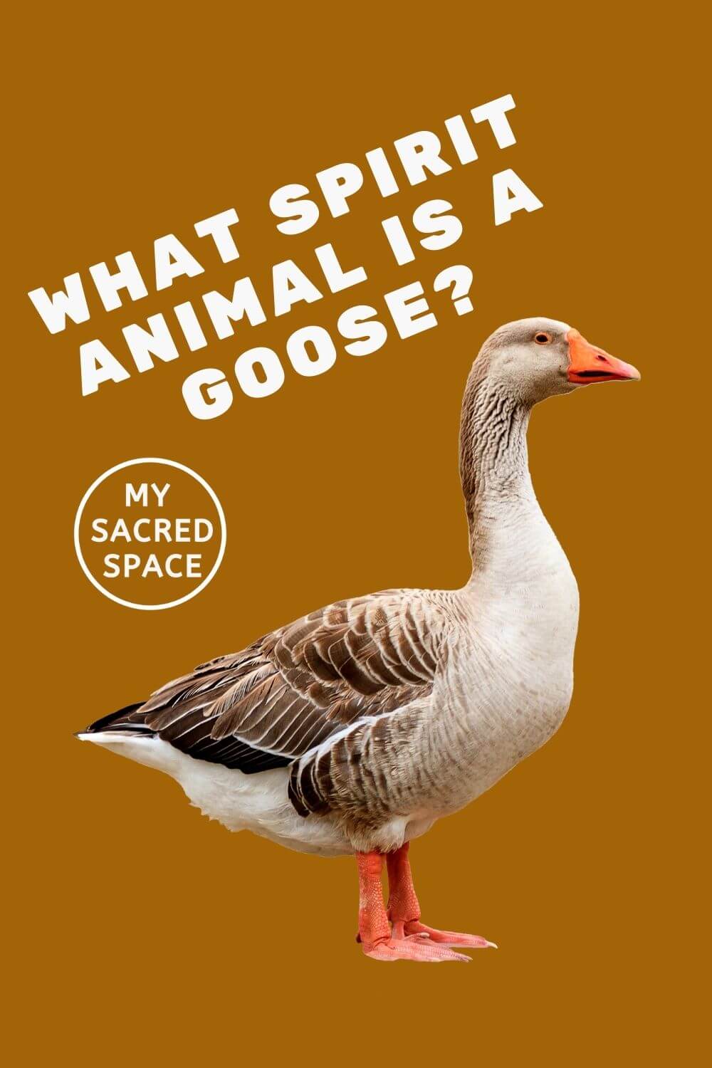 what-does-a-goose-spirit-animal-mean-and-symbolize-my-sacred-space