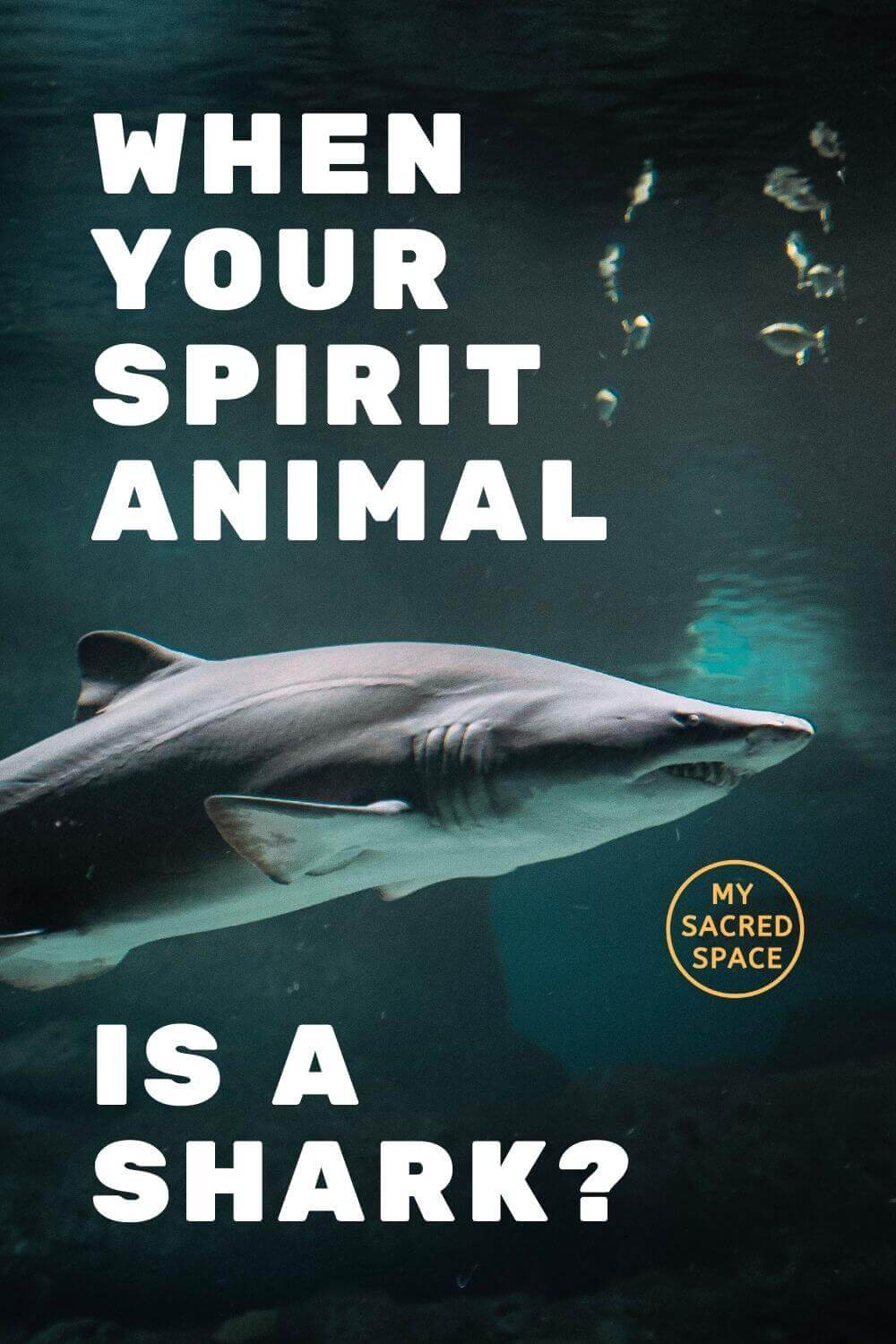 What Does a Shark Spirit Animal Mean and Symbolize? - My Sacred Space