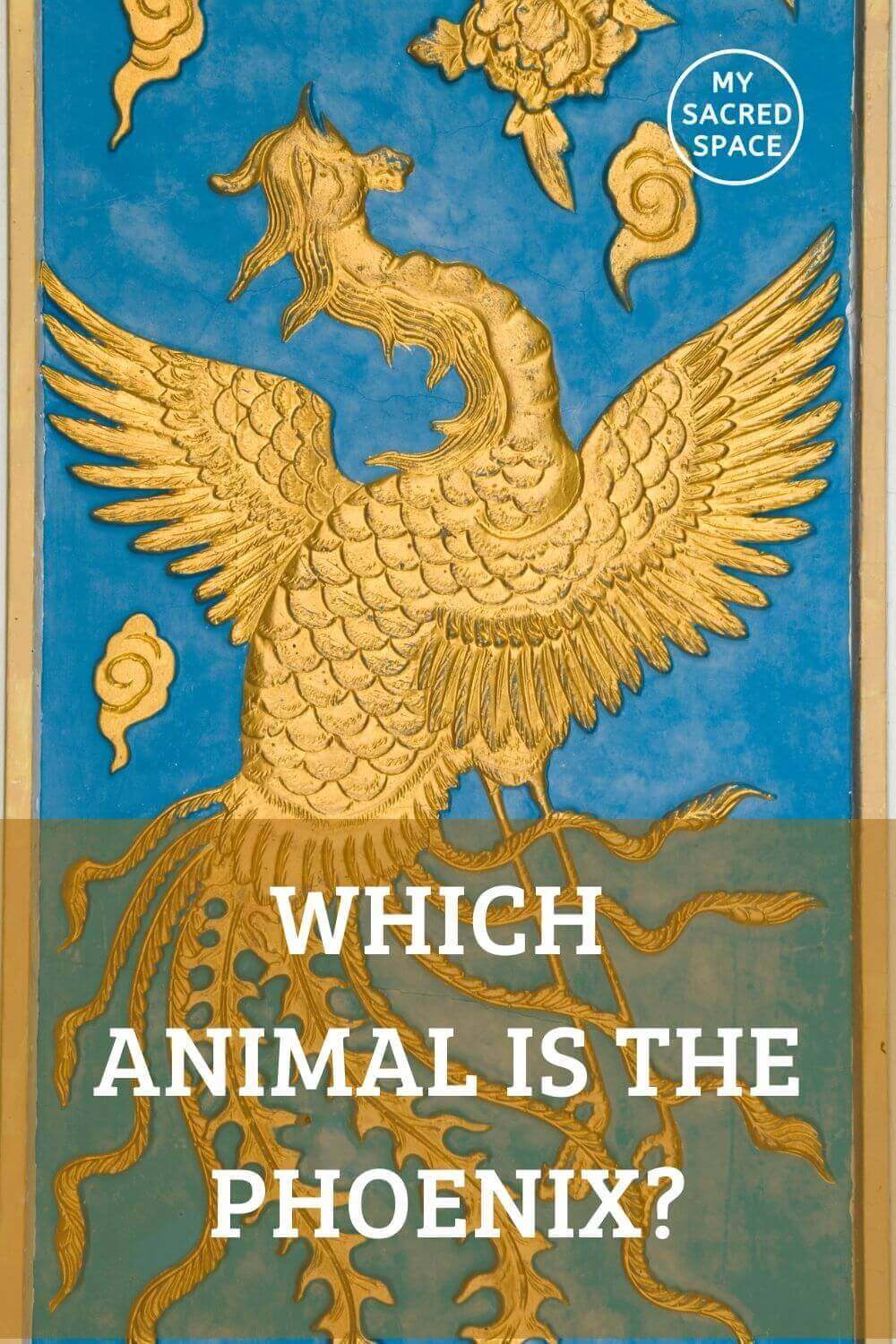 what-phoenix-means-and-what-does-phoenix-represent-my-sacred-space